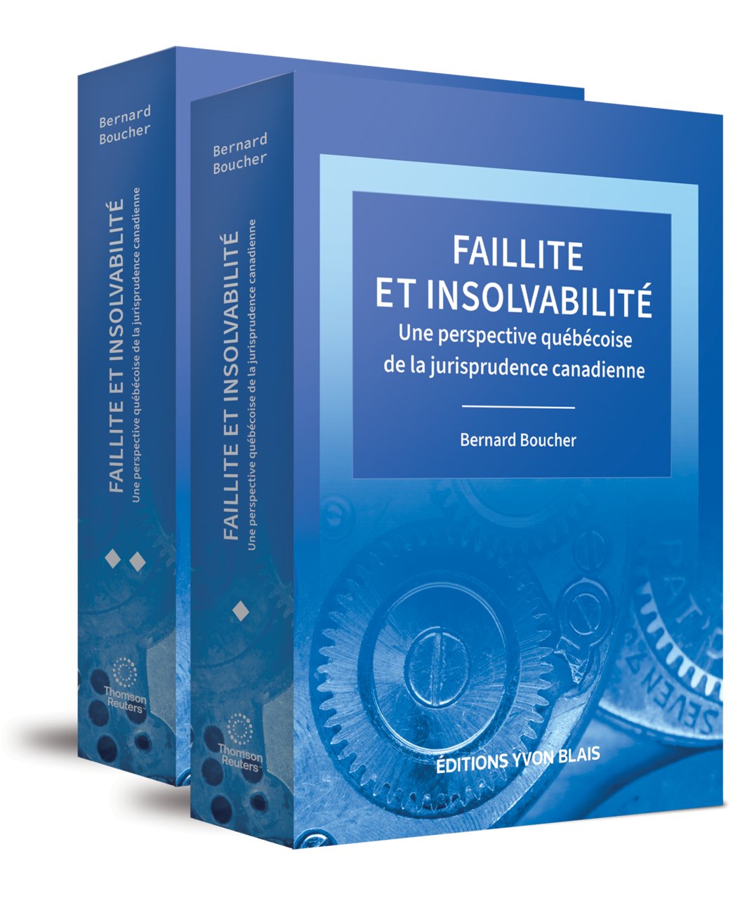 couverture de Faillite et insolvabilité : une perspective québécoise de la jurisprudence canadienne