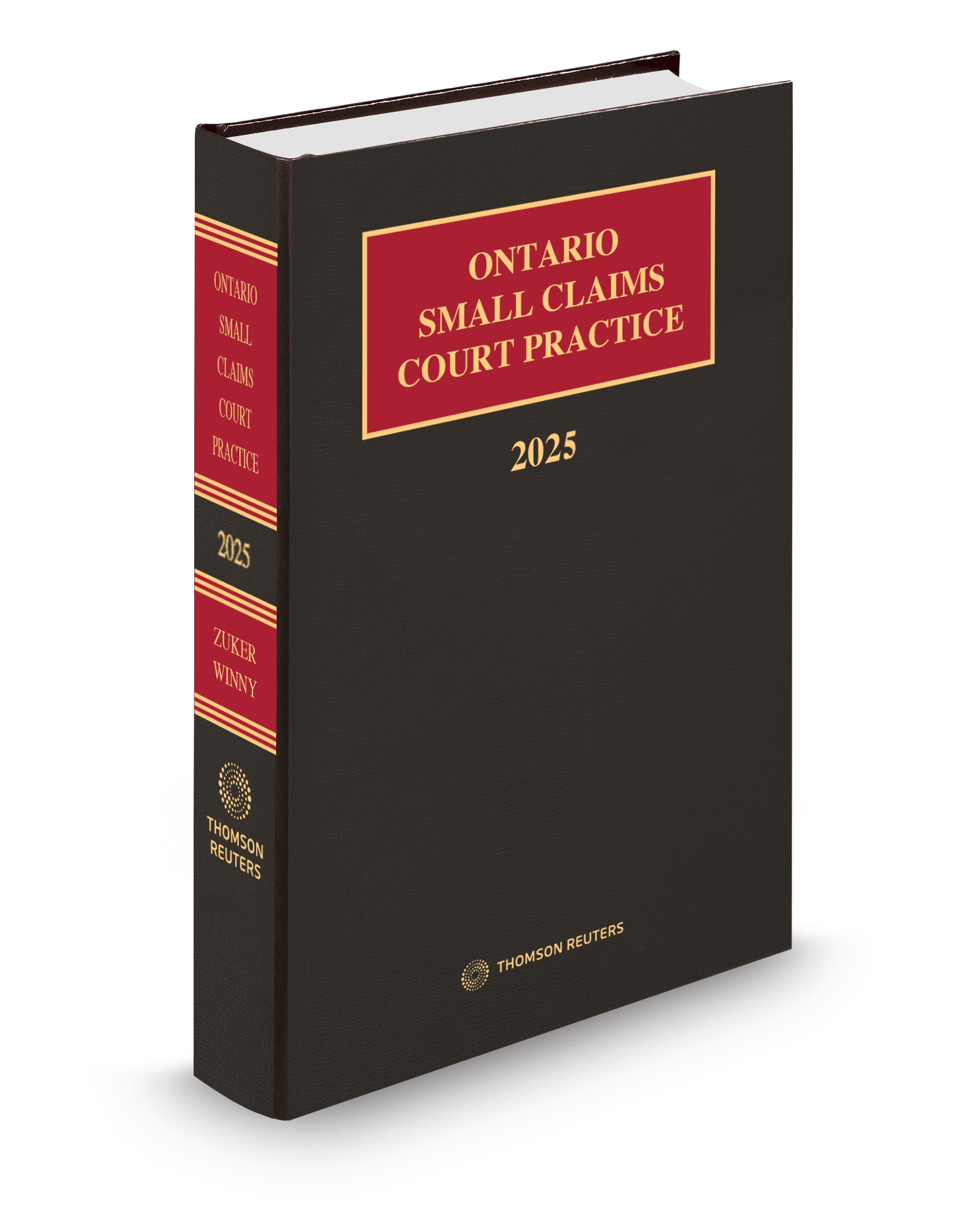 Ontario Small Claims Court Practice 2025 - New Edition