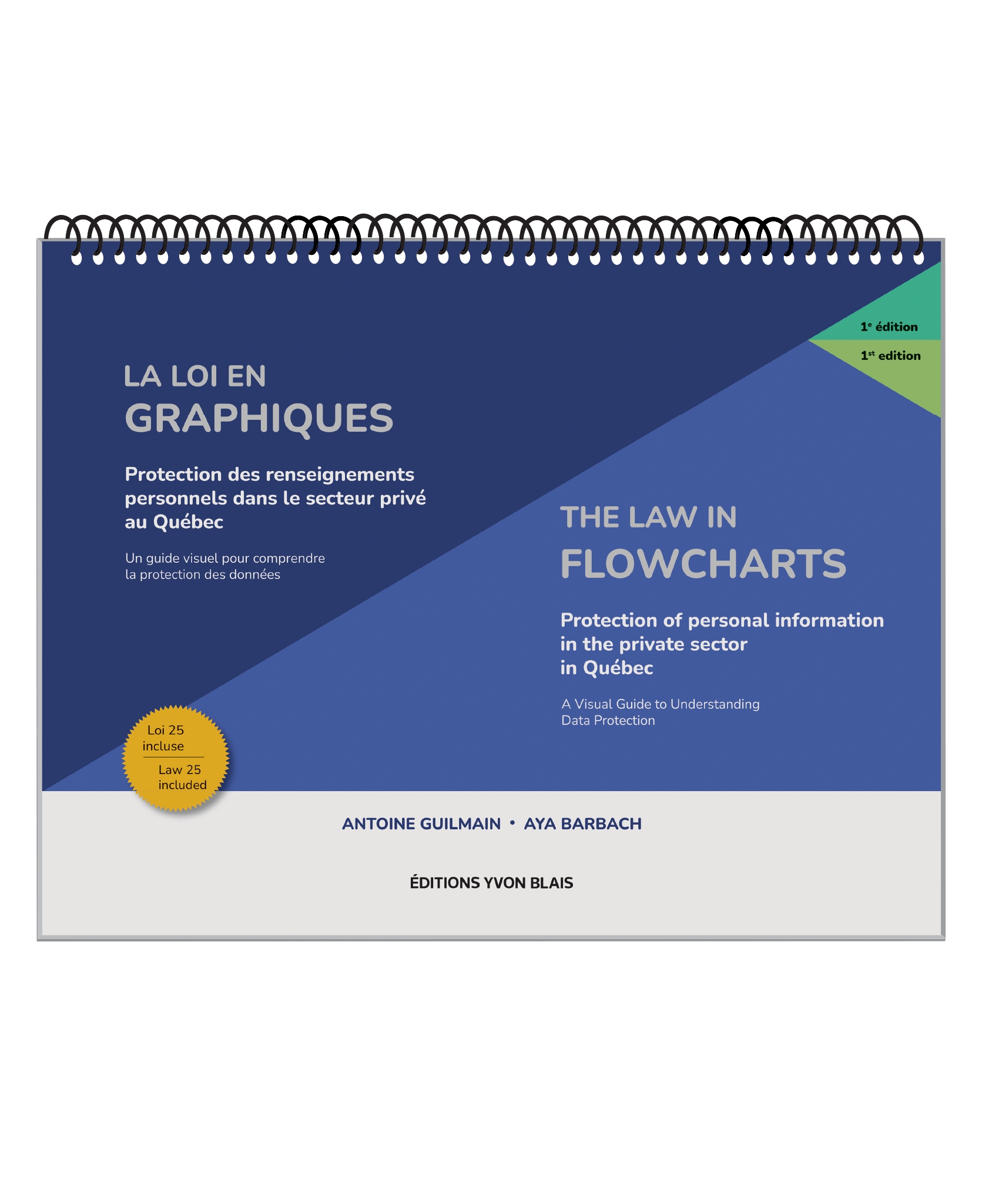 couverture de Protection des renseignements personnels dans le secteur privé au Québec, la loi en graphiques. Un guide visuel pour comprendre la prote