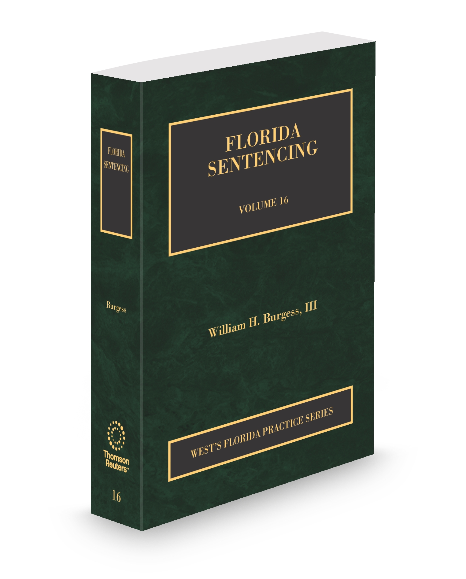Cover of FL PRACTICE V.16 SENTENCING SUB