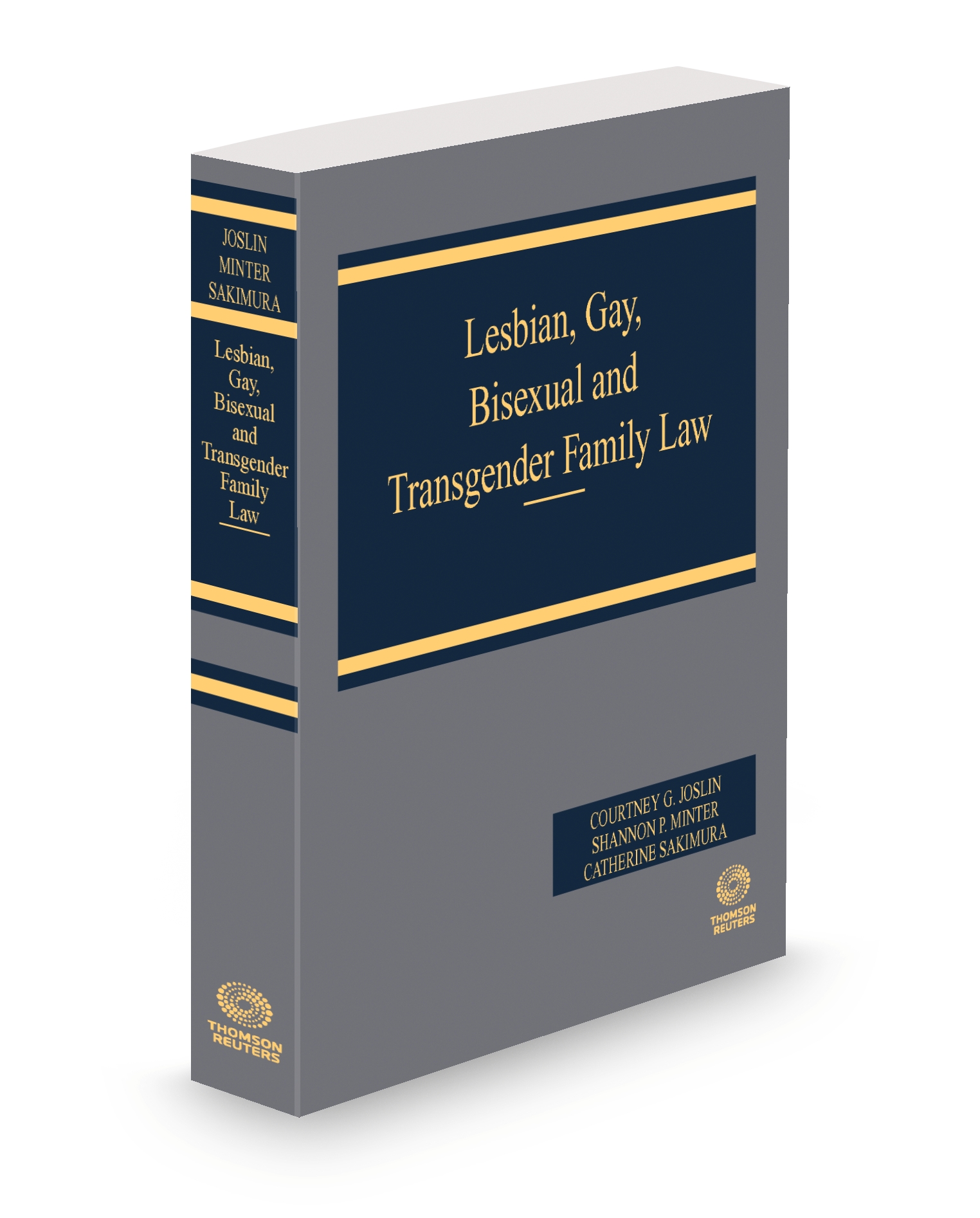 Cover of LESBIAN GAY BISEXUAL AND TRANSGENDER FAMILY LAW SUB