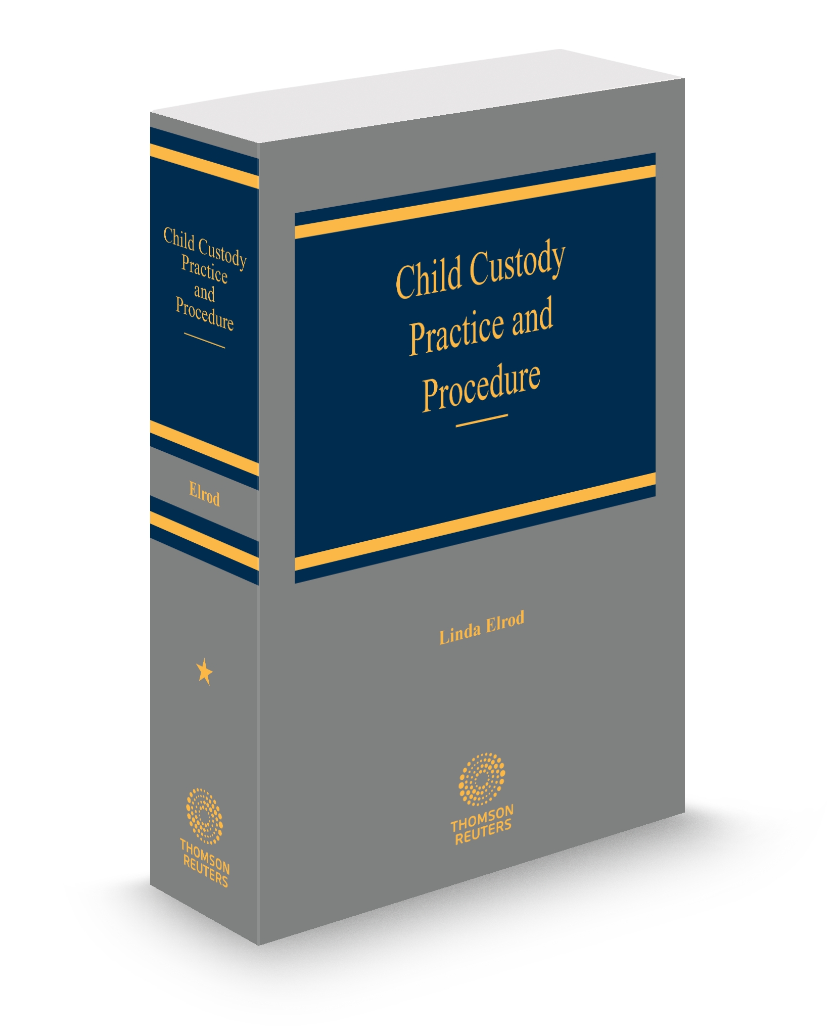 Cover of CHILD CUSTODY PRACTICE AND PROCEDURE SUB