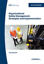 Cover of Organizational Safety Management: Strategies and Implementation, Softbound book