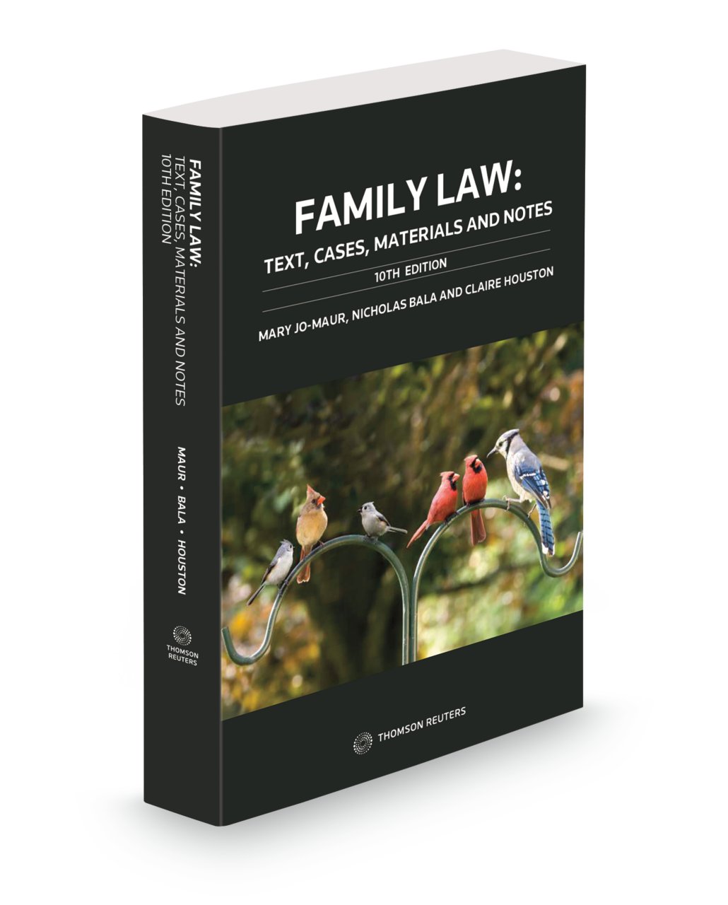 A Straightforward Guide to Family Law (Revised Edition): A concise