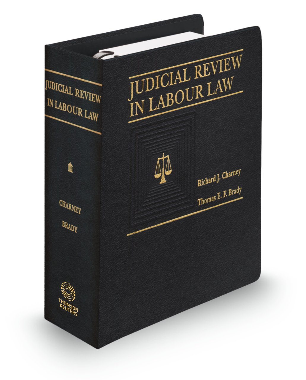 Judicial Review in Labour Law - Binder/Looseleaf