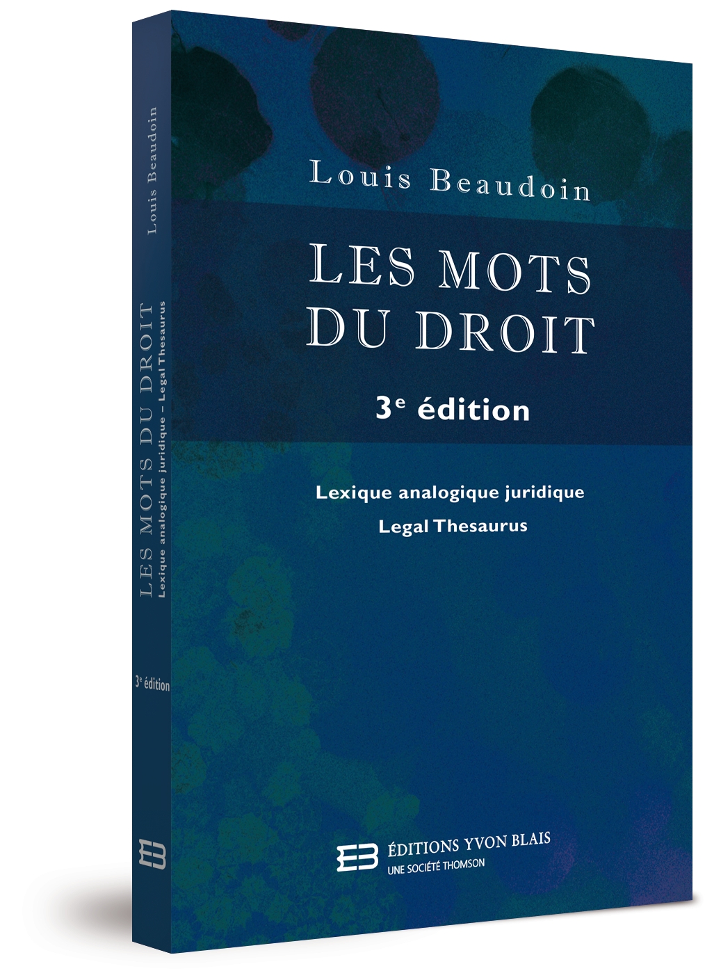 couverture de Les mots du droit, 3e édition
