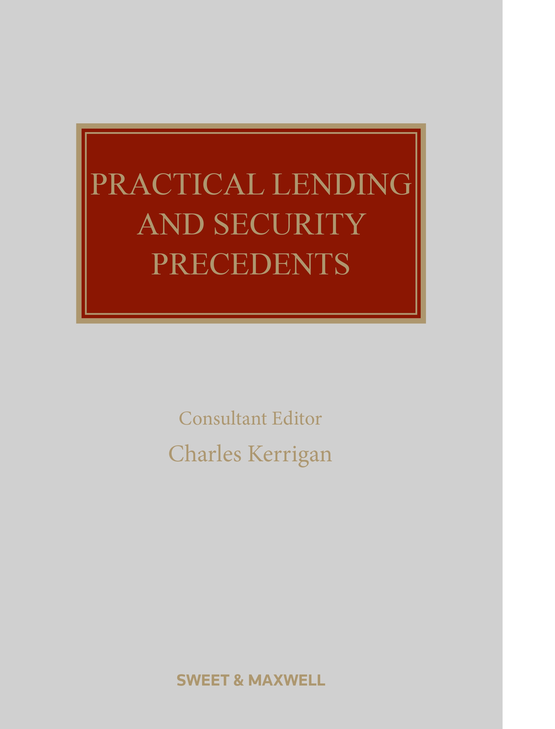 Cover of Practical Lending and Security Precedents