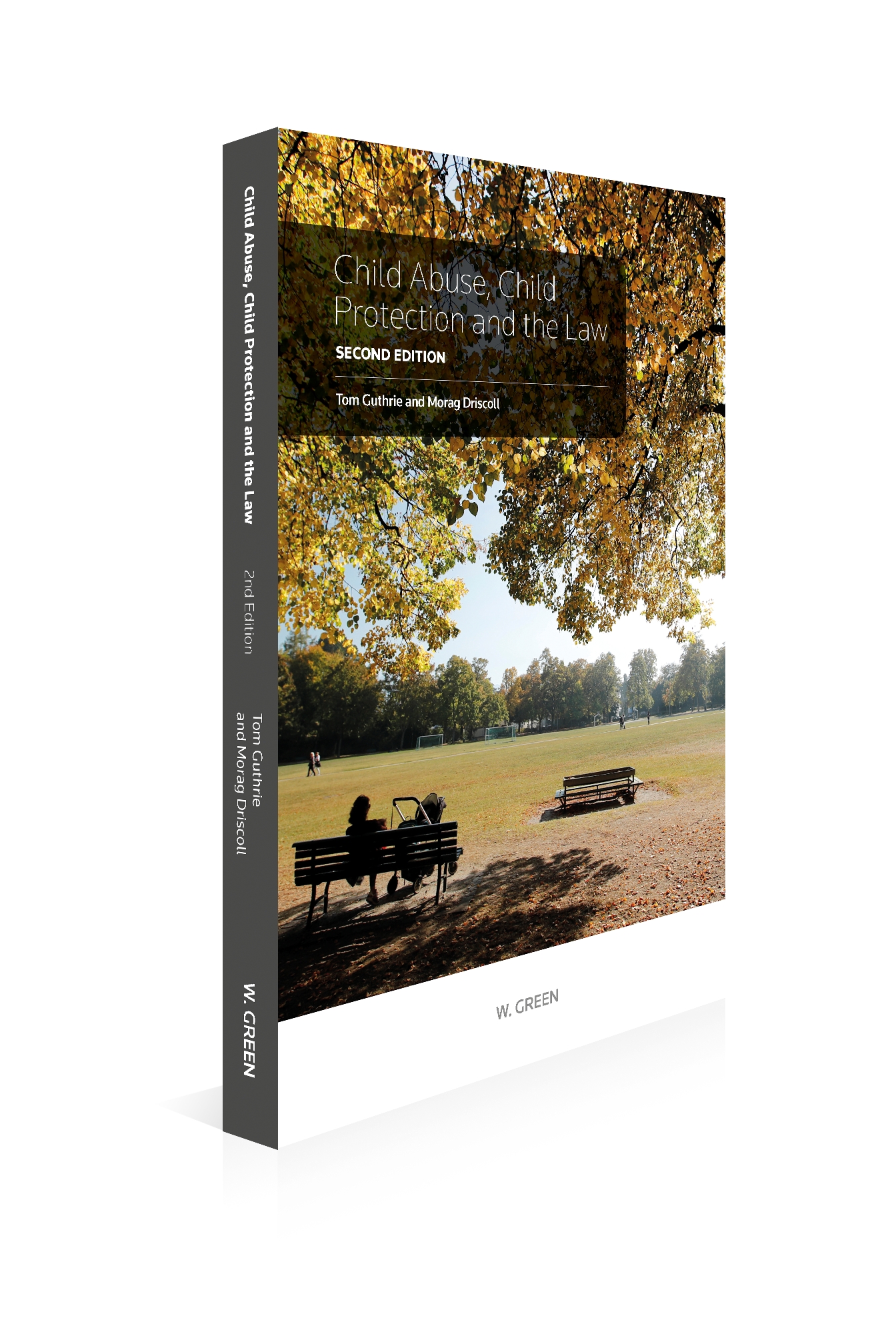 Cover of Child Abuse, Child Protection & the Law, 2nd Edition