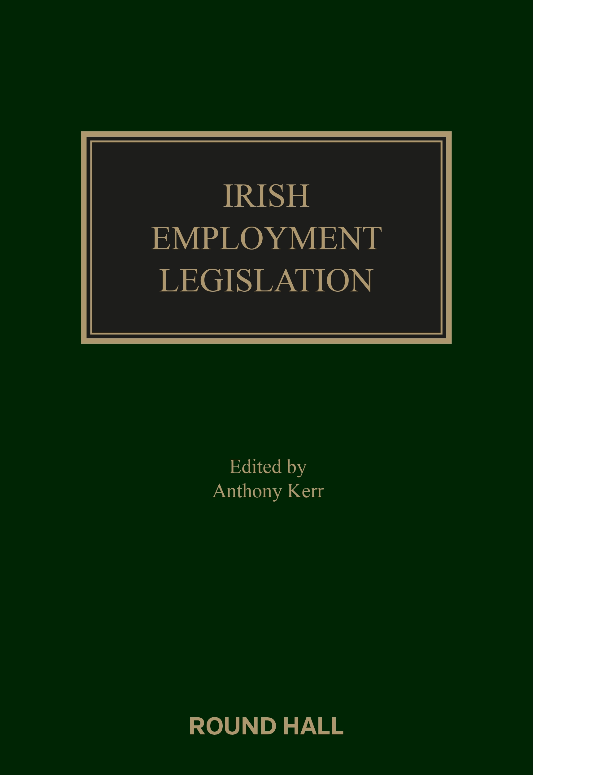 Cover of Irish Employment Legislation