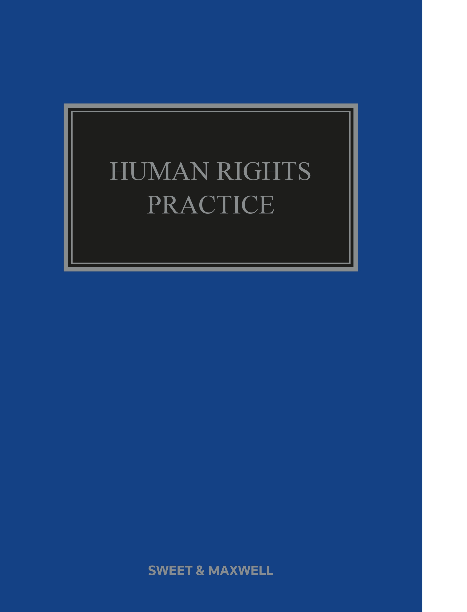 Cover of Human Rights Practice