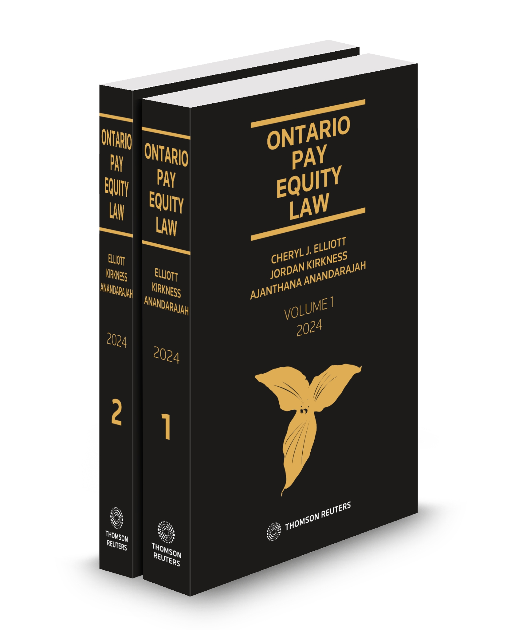 Front cover image of Ontario Pay Equity Law