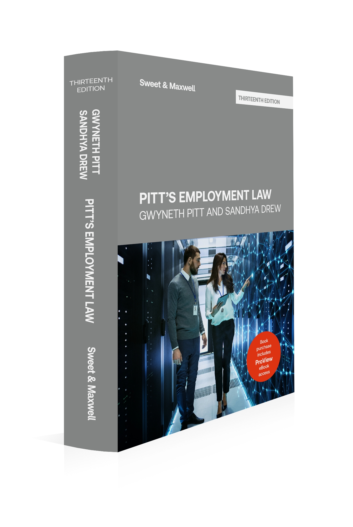 Cover of Pitt's Employment Law, 13th Edition