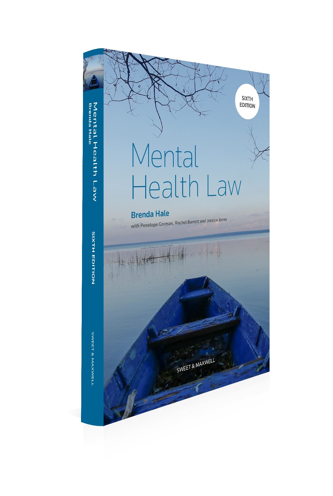 Cover of Mental Health Law, 6th Edition