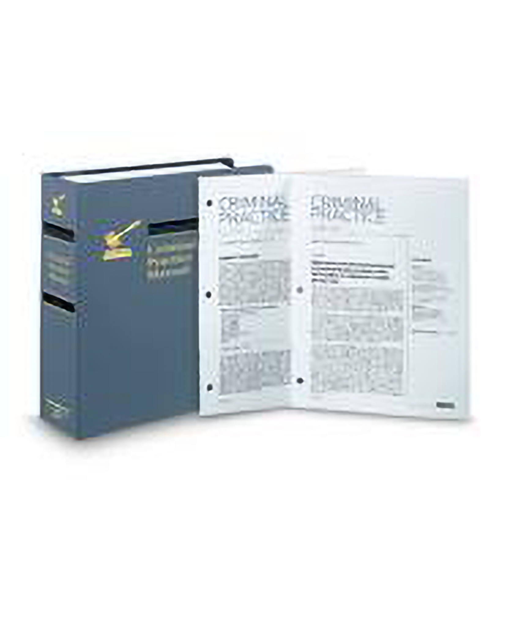 Criminal Practice Manual