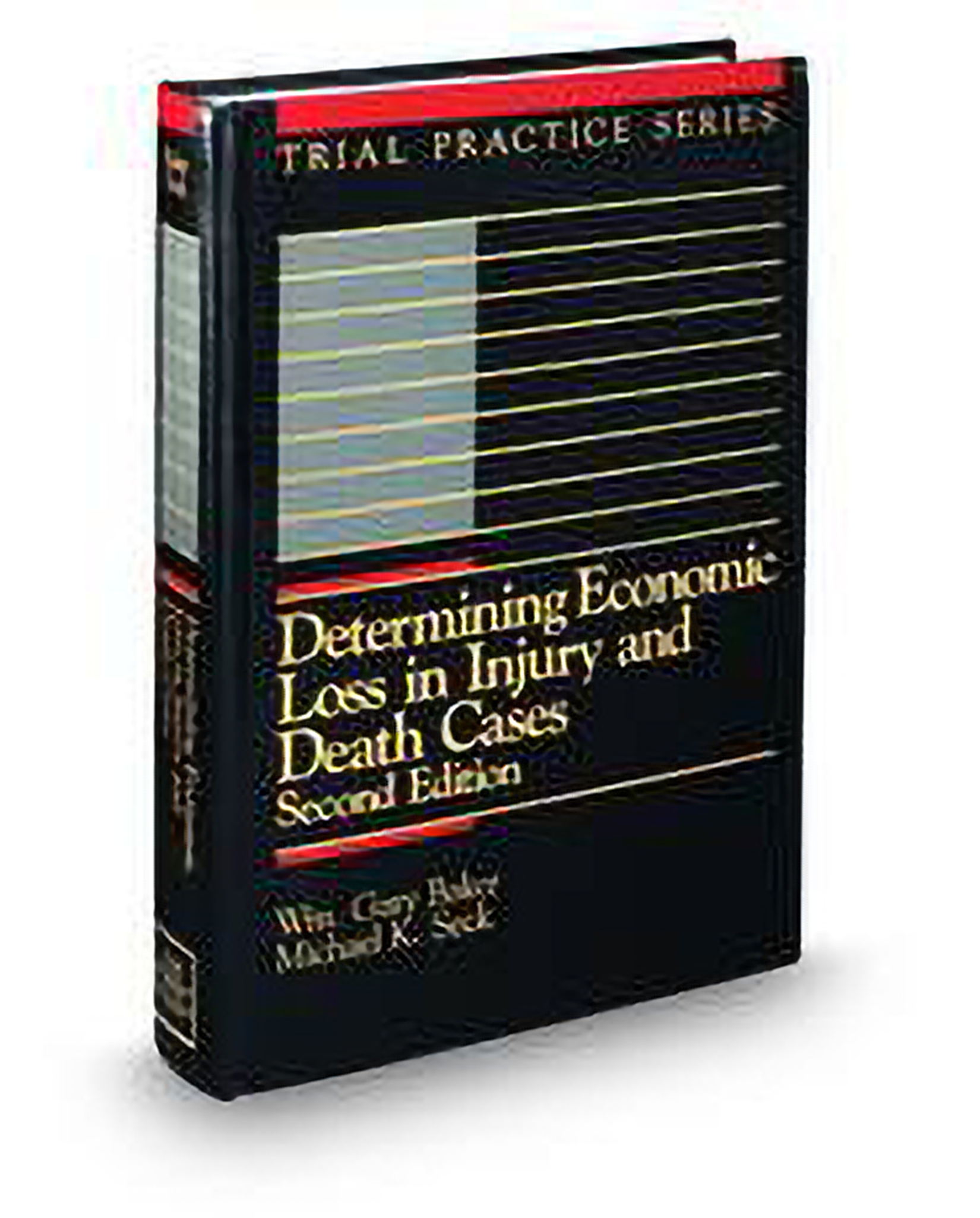 Determining Economic Loss In Injury and Death Cases