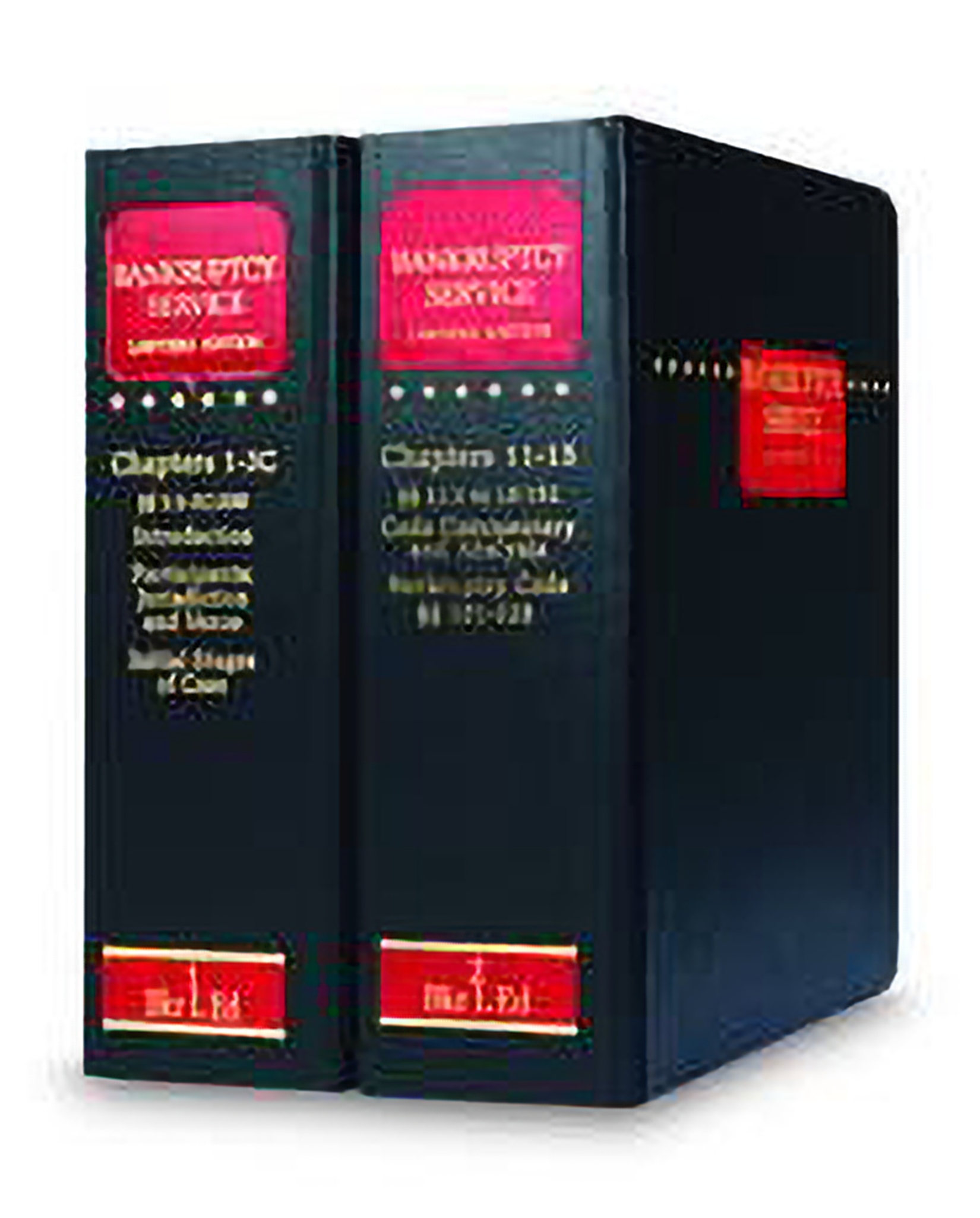 Bankruptcy Service Lawyers Edition