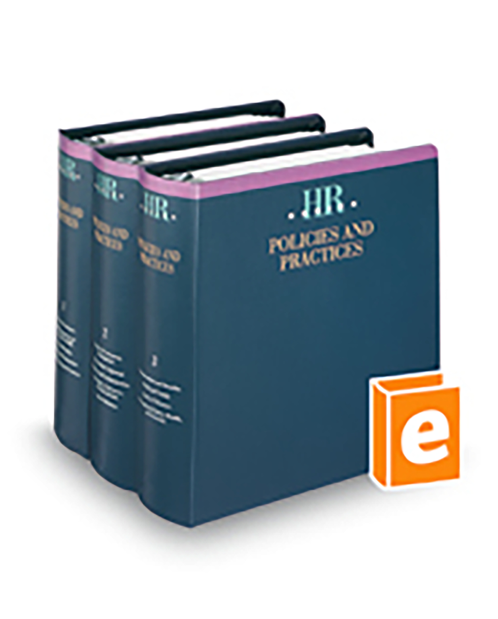 Human Resources Series Policies and Practices, 2026-1 ed.