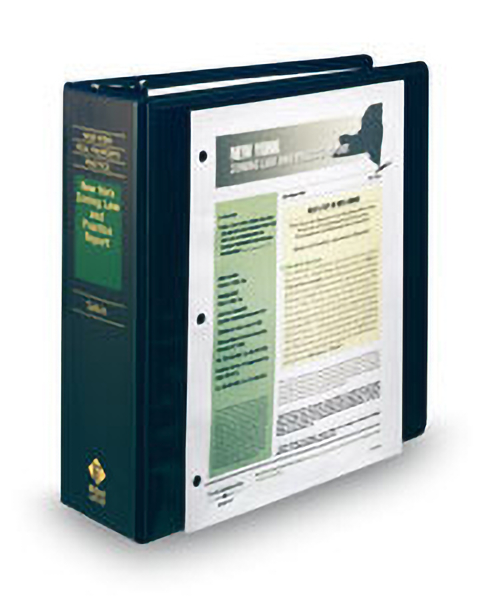 Cover of New York Zoning Law and Practice Newsletter