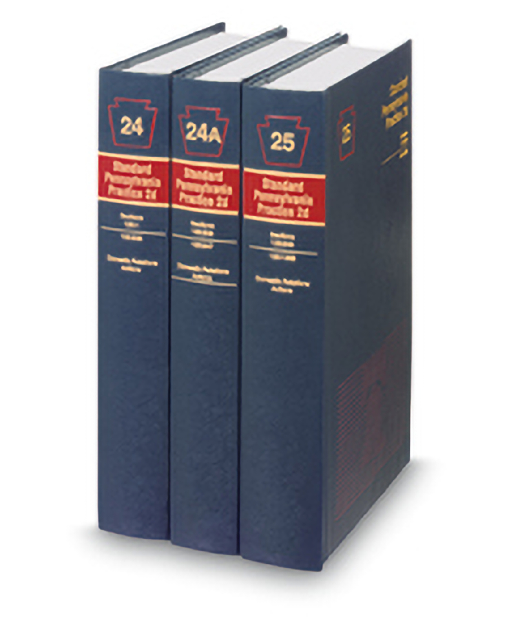 Cover of Standard Pennsylvania Practice