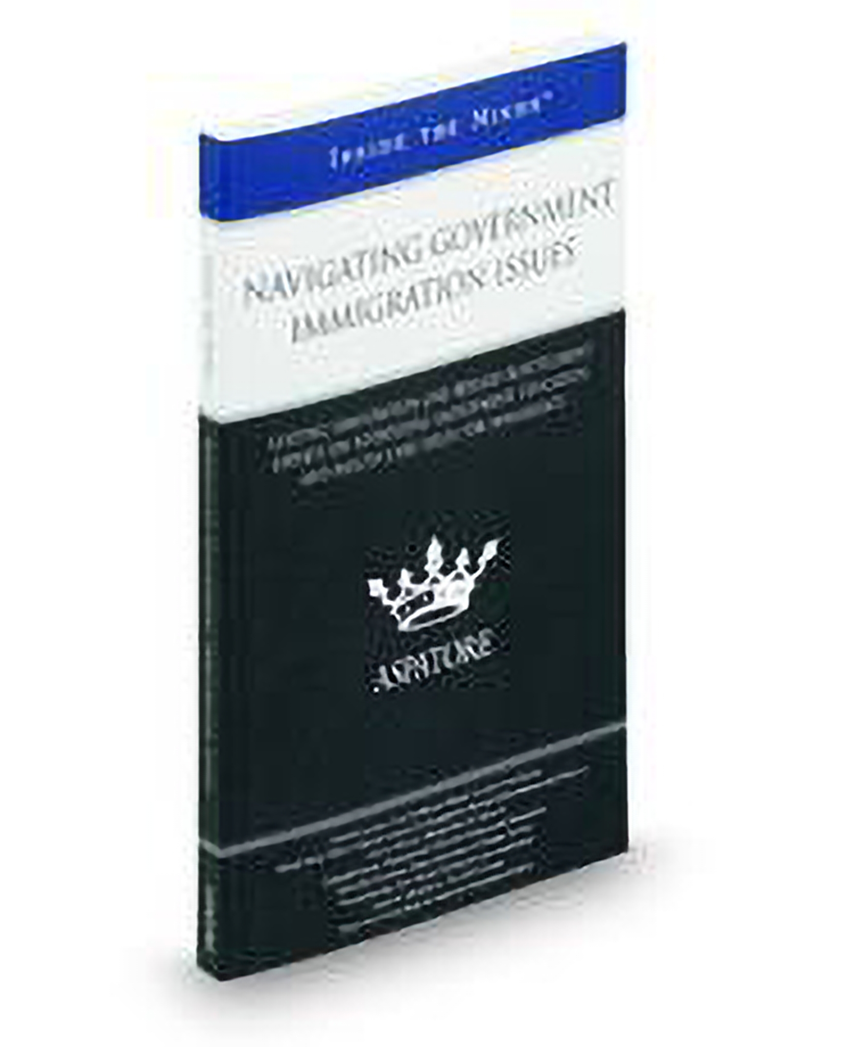 Cover of Navigating Government Immigration Issues: Leading Immigration and Refugee Resettlement Experts On Addressing Employment, Education, and Healt