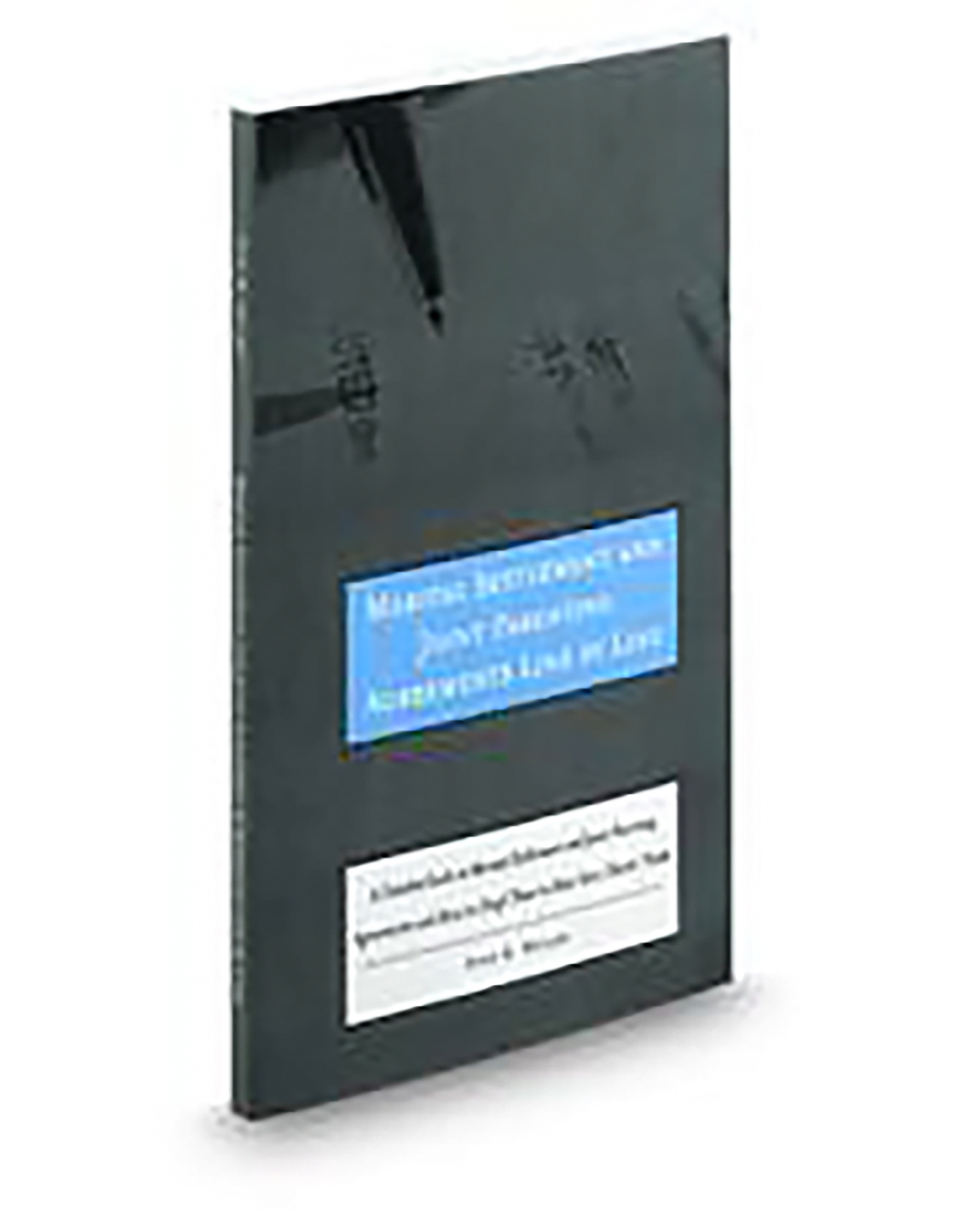 Aspatore Marital Settlement and Joint Parenting Agreements Line By Line, 2011 ed.
