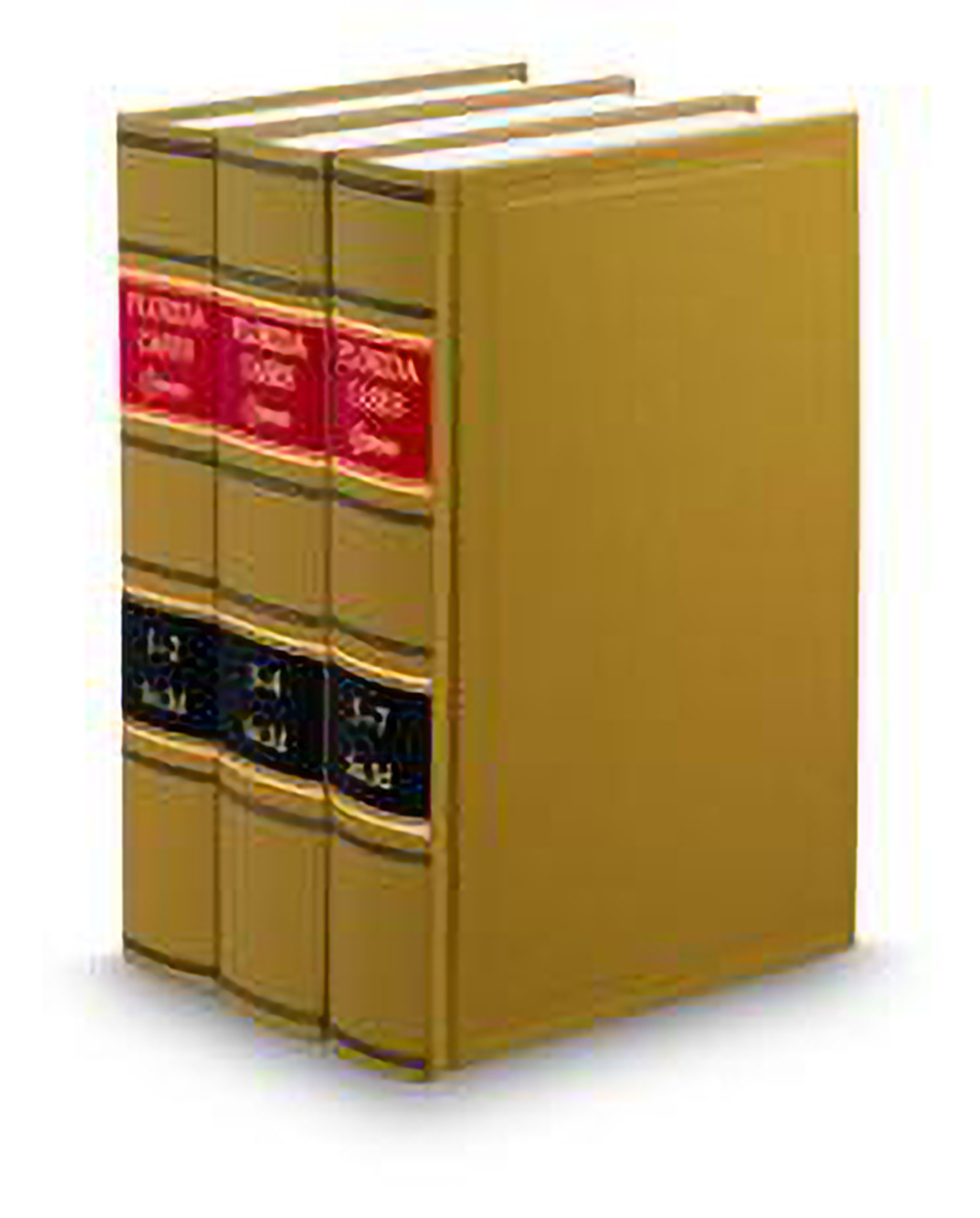 Cover of Florida Cases 3D