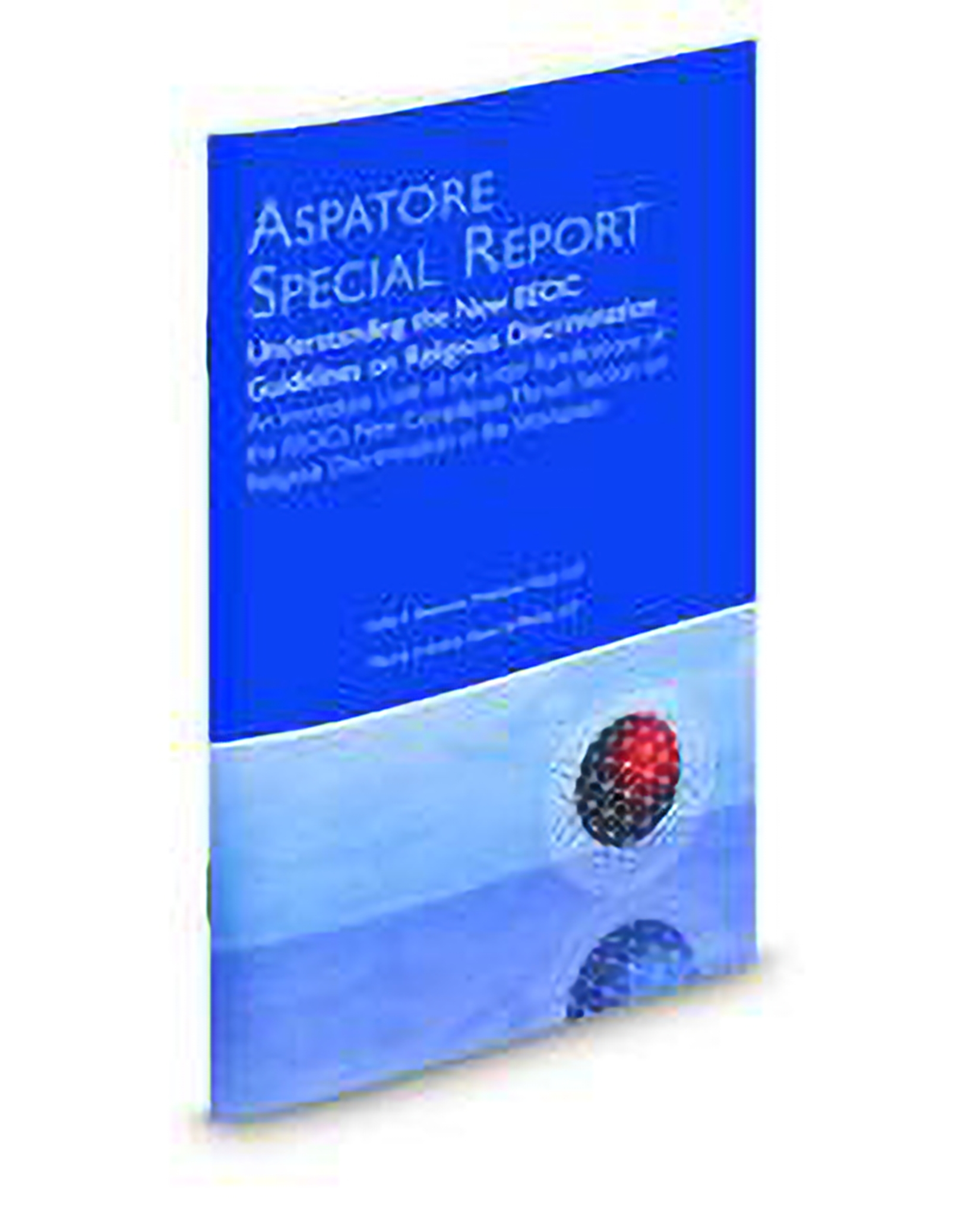 Cover of Aspatore Special Report: Understanding The New Eeoc Guidelines On Religious Discrimination