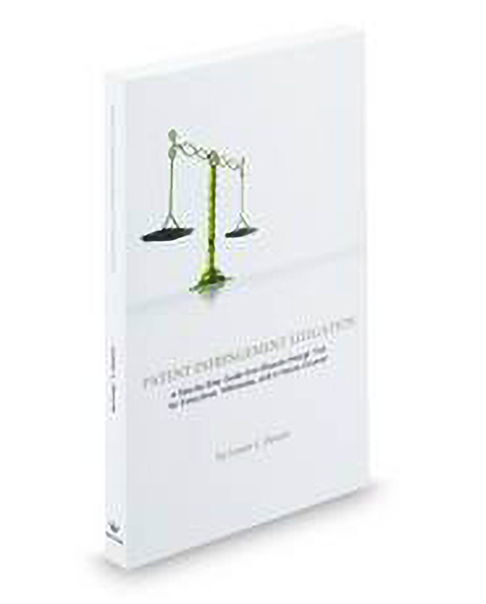 Cover of Patent Infringement Litigation: Step By Step From Dispute Through Trial for Executives, Witnesses, and In-House Counsel