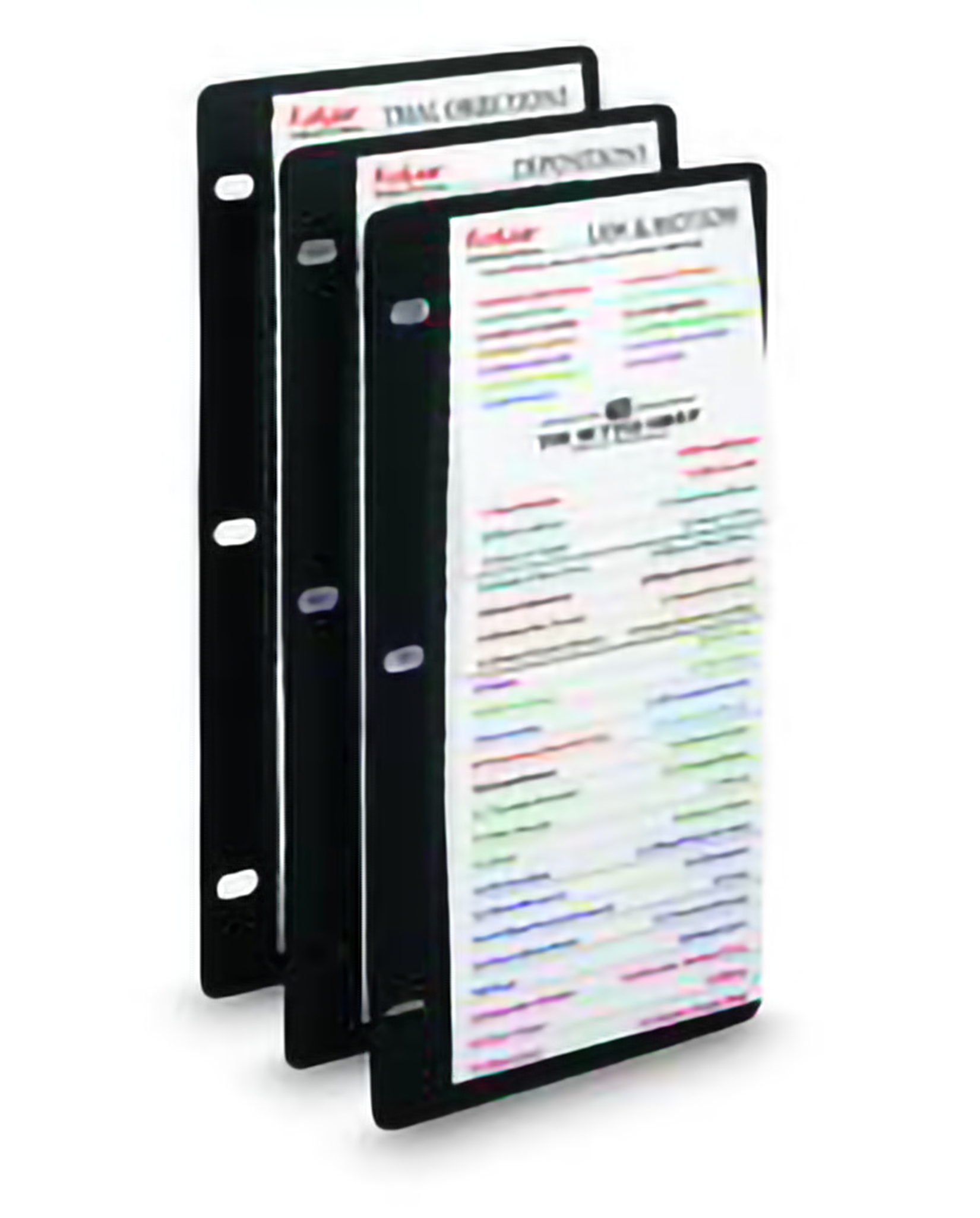 FlipLaw®, 2025 Edition (The Rutter Group)