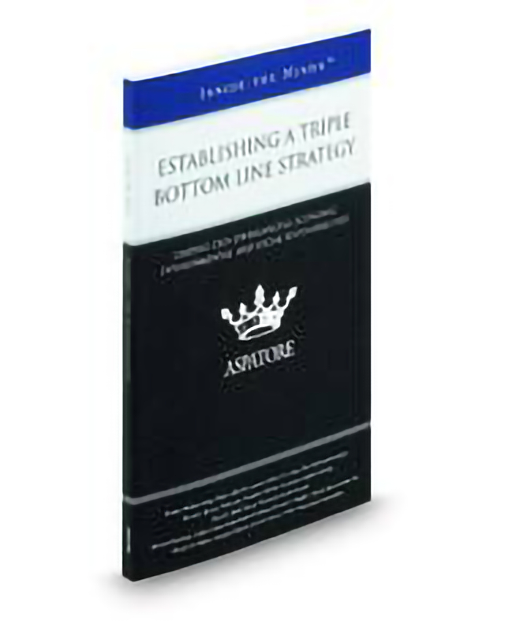 cover of Aspatore Establishing A Triple Bottom Line Strategy