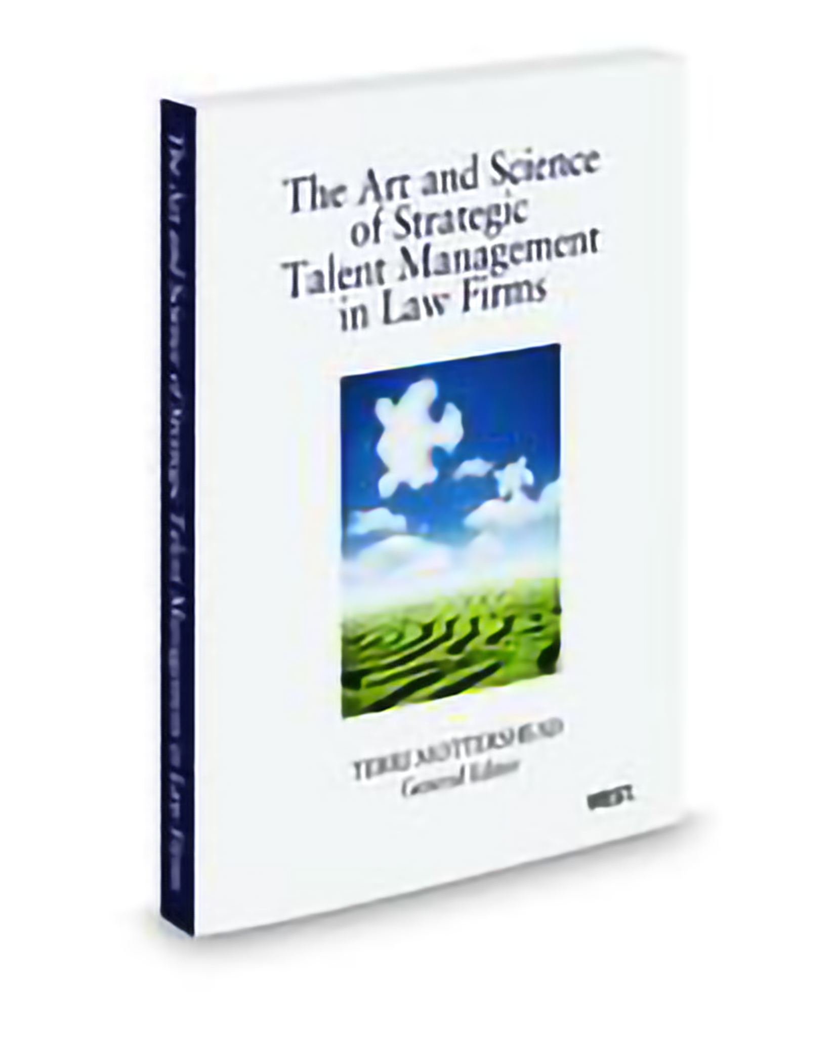 Talent Management In Law Firms, 2010 ed.
