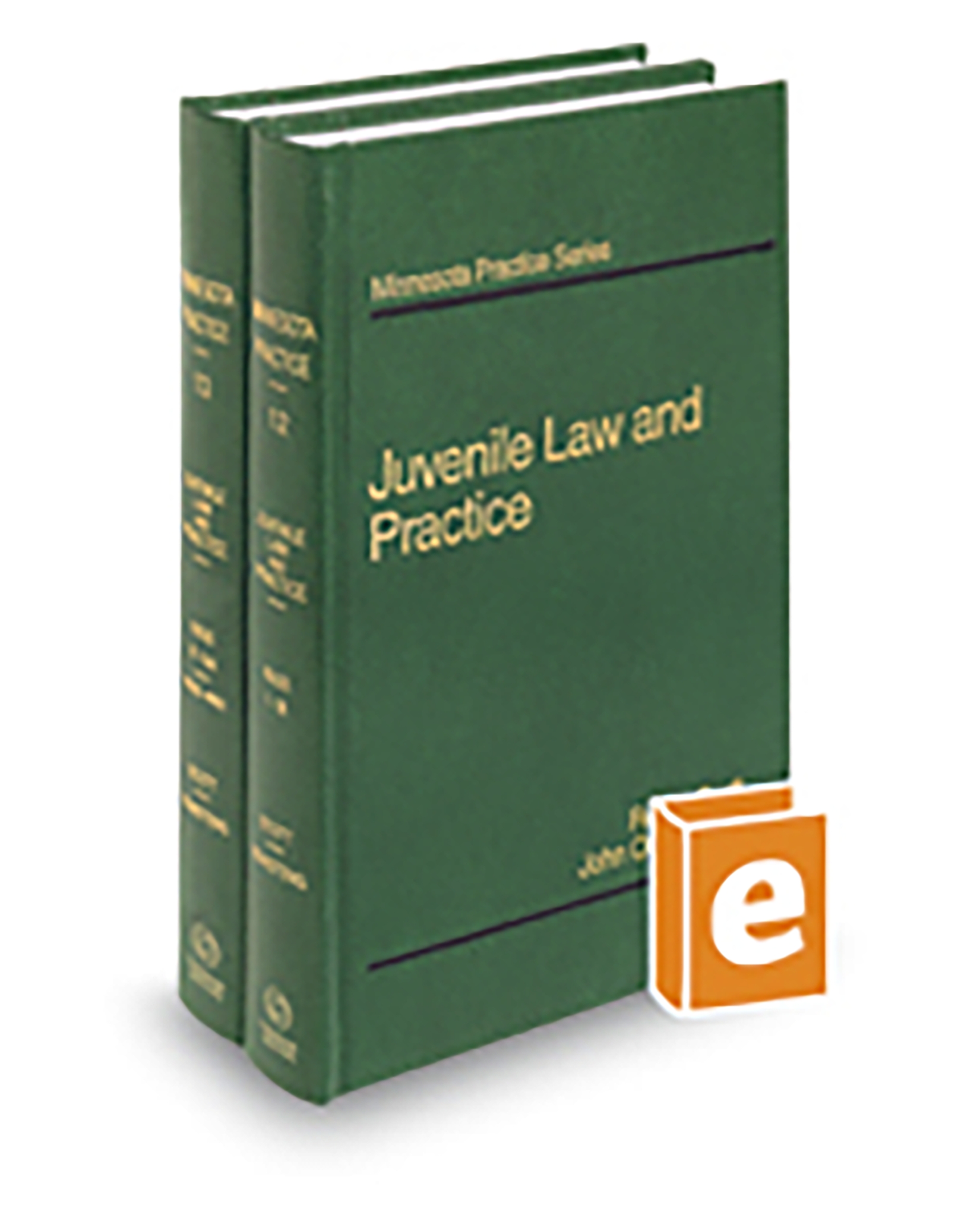 Minnesota Practice V.12-13 Juvenile Law and Practice, 2025-2026 ed.