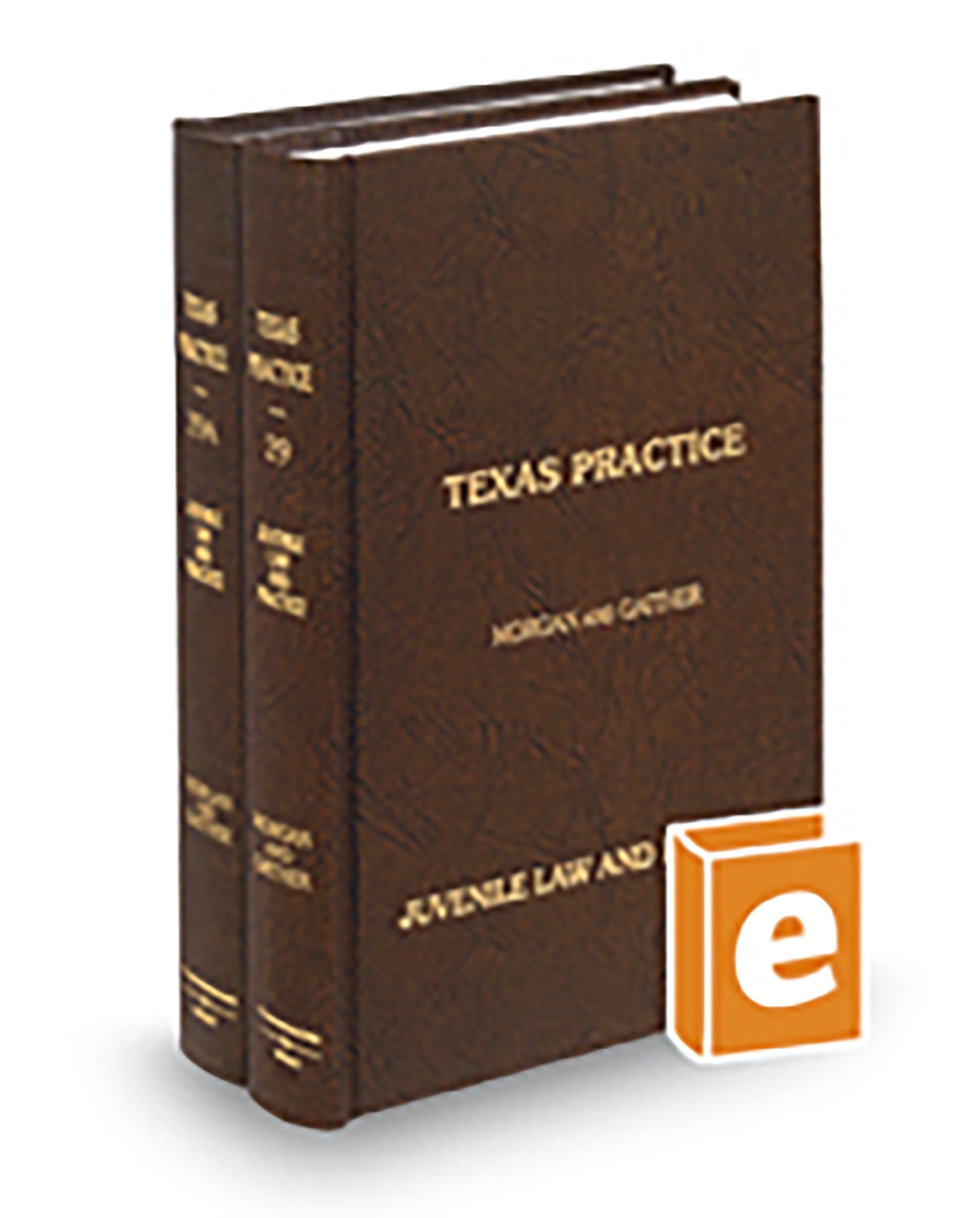 Texas Practice V.29 and 29A Juvenile Law, 2026 ed.