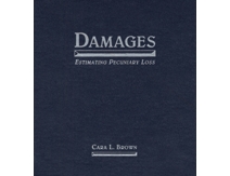 Damages: Estimating Pecuniary Loss