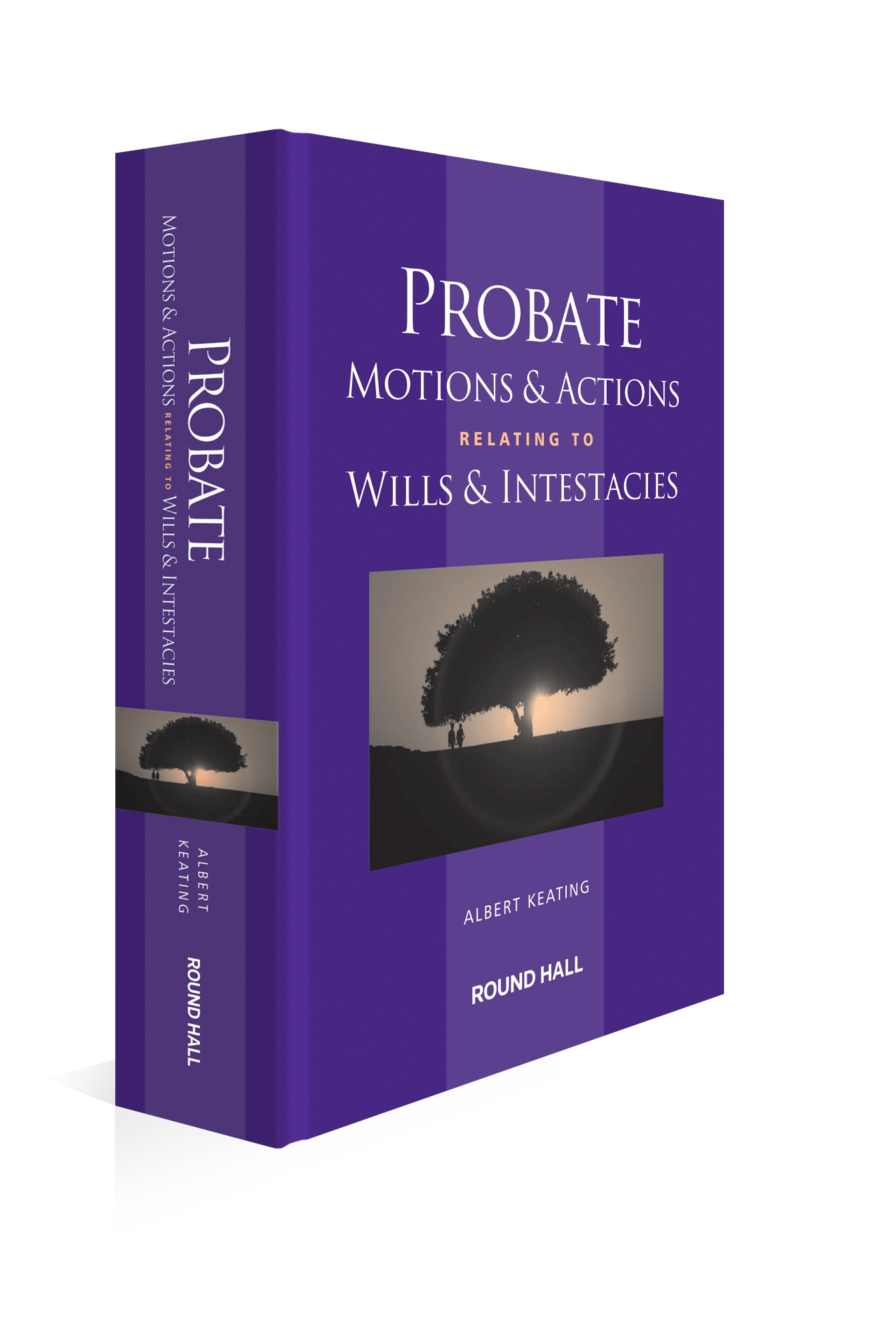 Cover of Probate Motions & Actions Relating to Wills & Intestacies