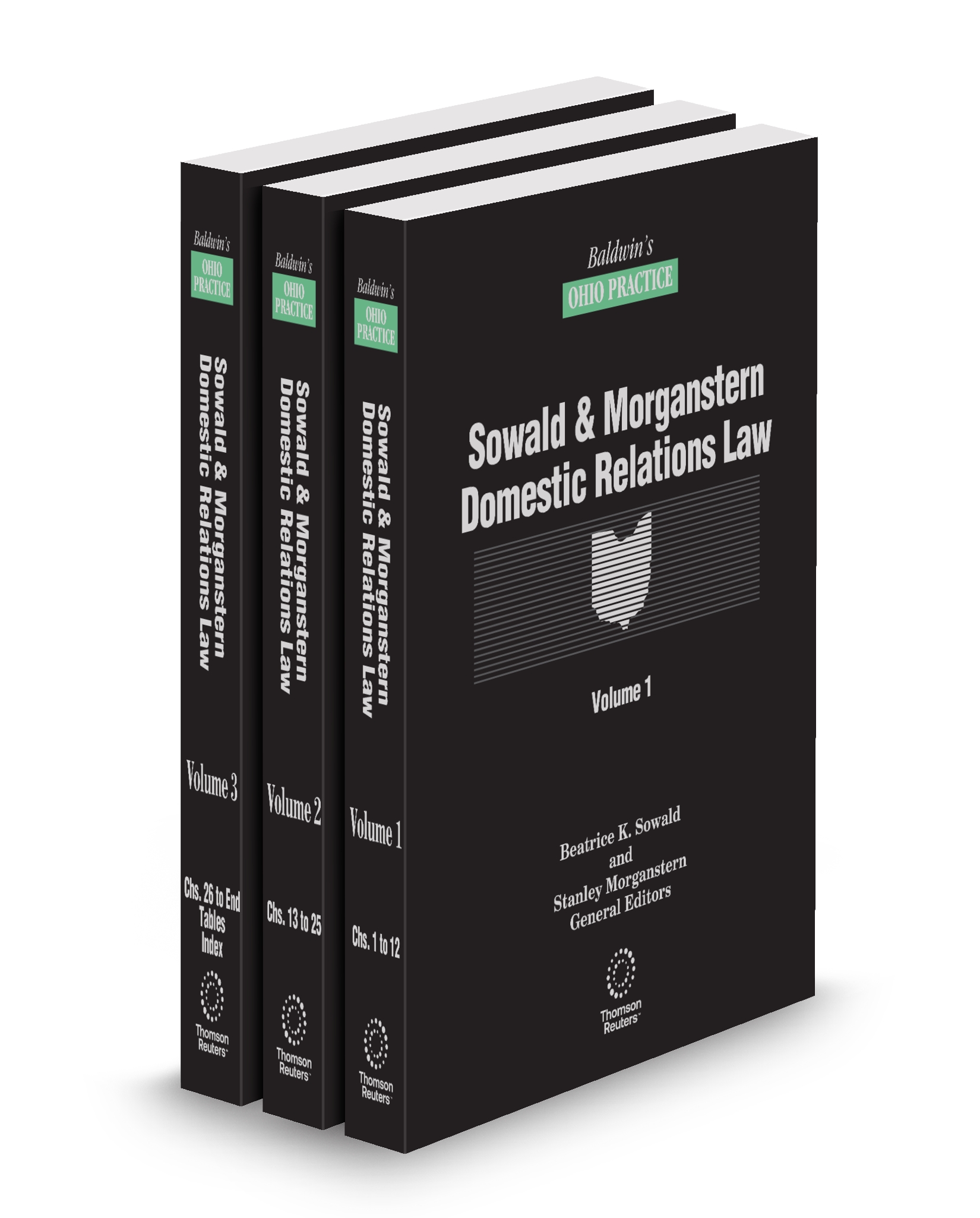 Cover of BALDWIN'S OH PRACTICE DOMESTIC RELATIONS LAW FULL SET