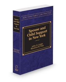 New York Spouse and Child Support, 2026 ed.
