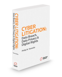 Cyber Litigation, 2025 ed.