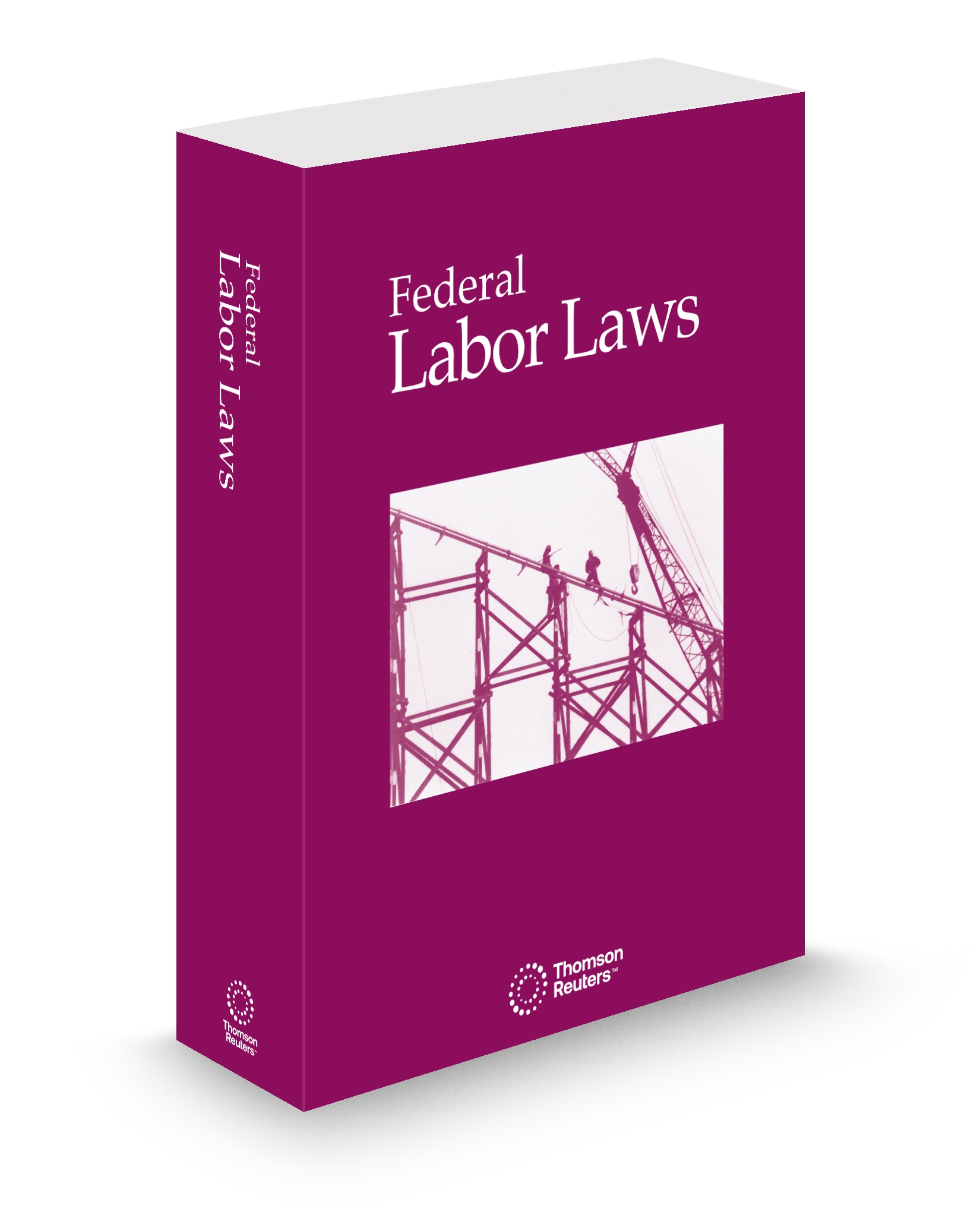 Cover of FEDERAL LABOR LAWS SUB