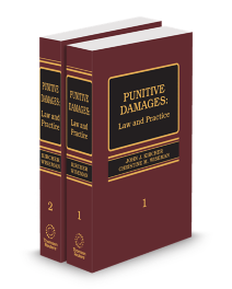 Punitive Damages Law and Practice, 2025 ed.