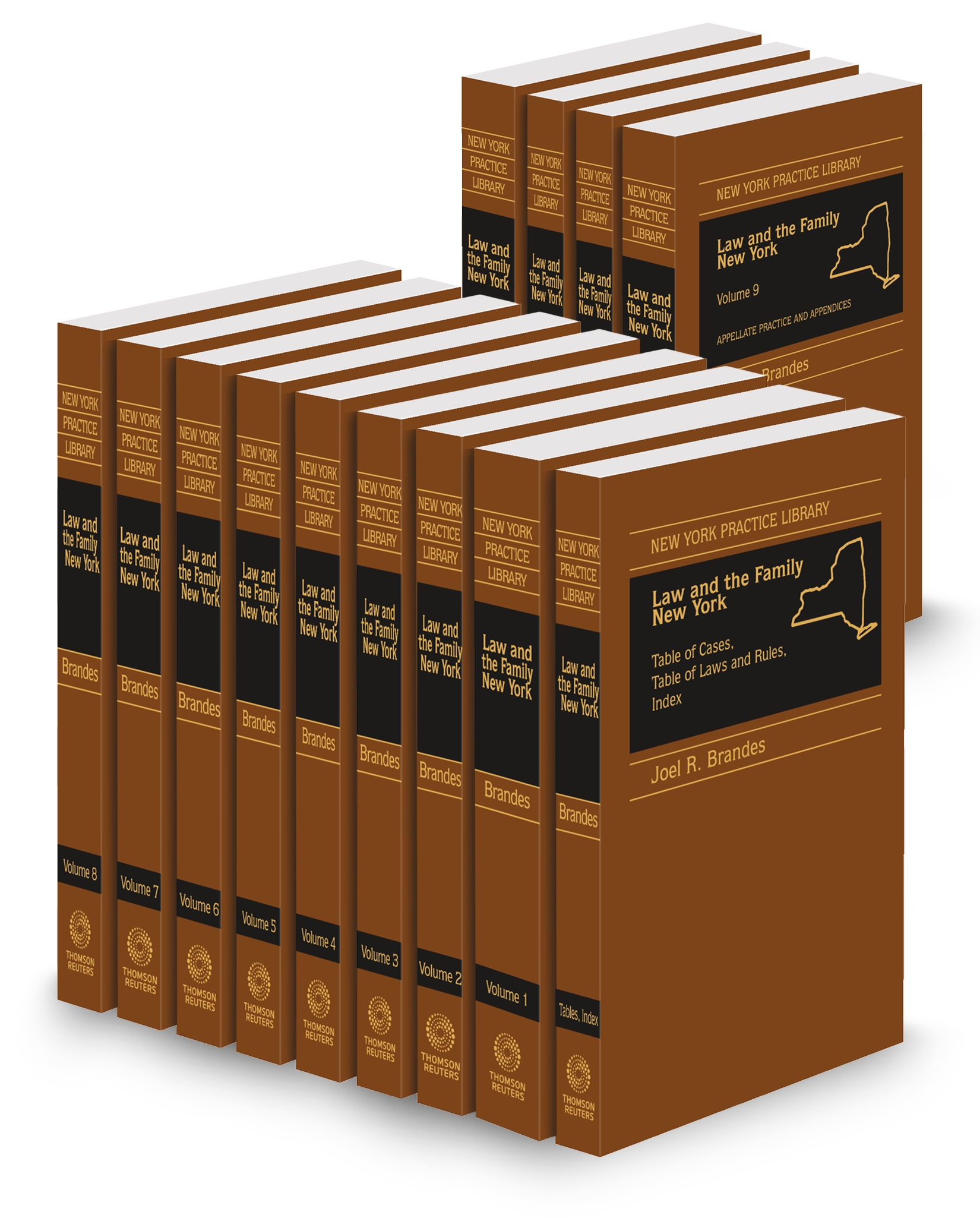 Cover of NY LAW AND FAMILY NO FORMS FULL SET