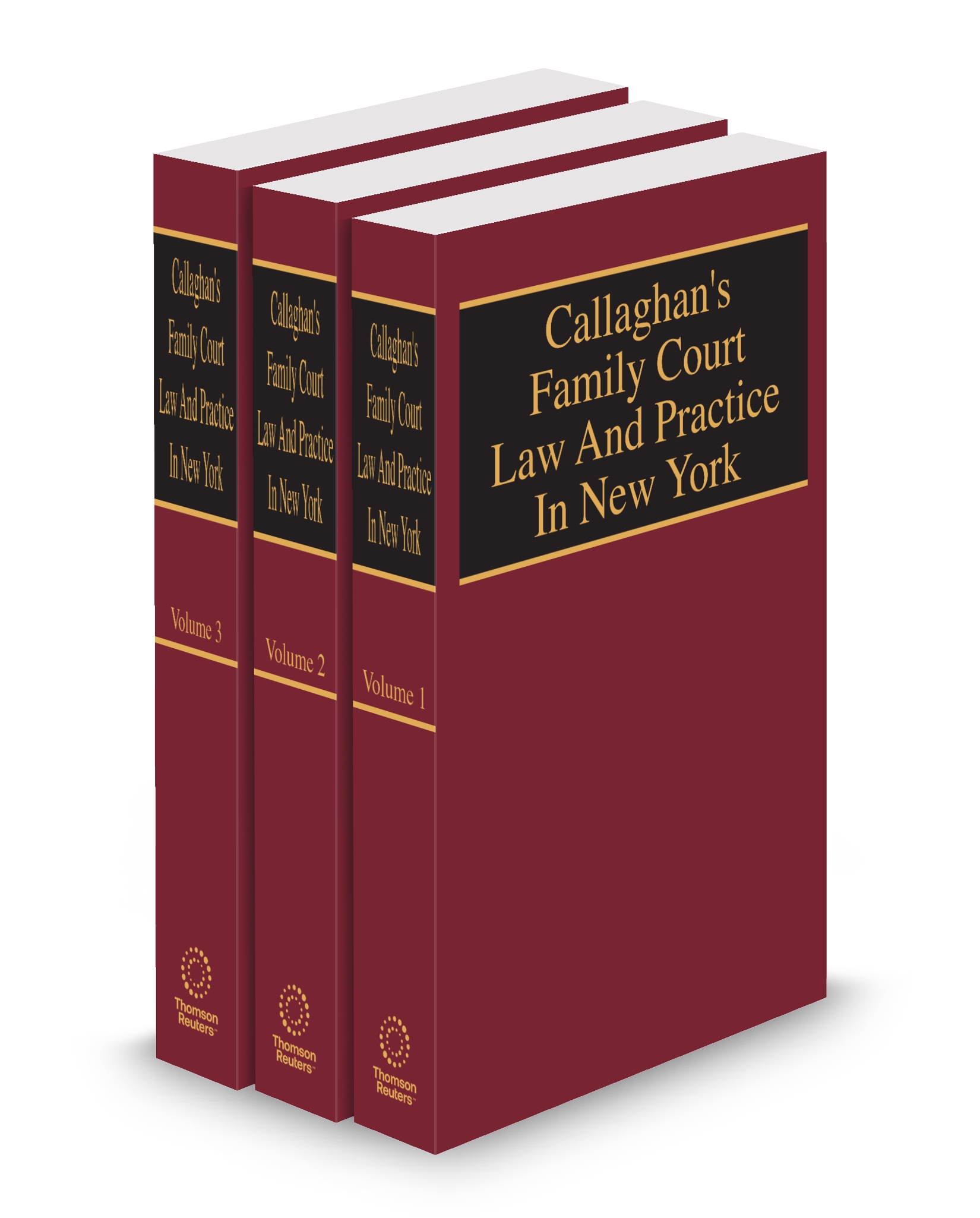 New York Family Court Law and Practice, 2025 ed.