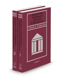 Section 1983 Litigation In State and Federal Courts, 2025 ed.