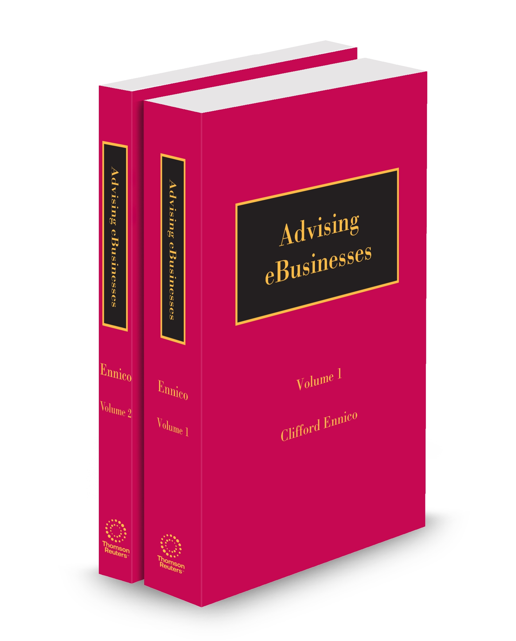 Cover of ADVISING E-BUSINESSES SUB