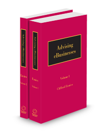 Advising E-Businesses, 2025-2026 ed.