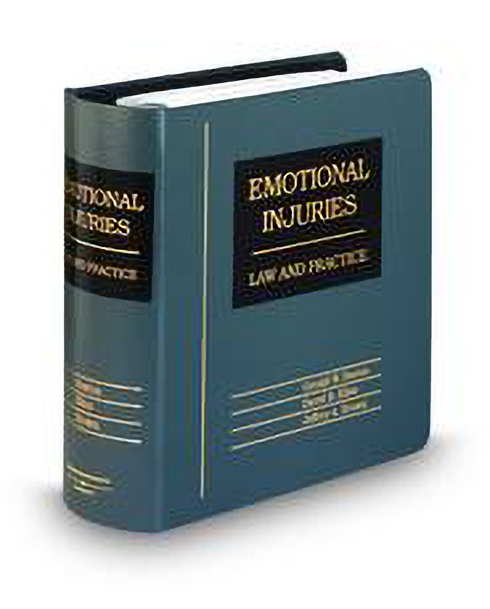 Cover of Emotional Injury Law and Practice, 2025 ed.