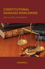 Cover of Constitutional Damages Worldwide, Softbound book