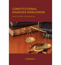 Constitutional Damages Worldwide