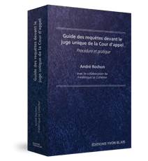 Guide des requêtes devant le juge unique de la Cour d'appel : procédure et pratique
