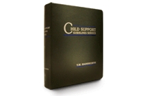 Child Support Guidelines Service